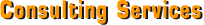 Consulting Services